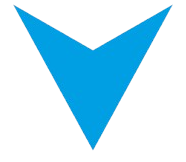 The Vita Group Logo